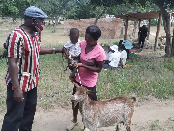 Anoziva Sisimayi and her son Kudzai Gombakomba receive a goat from the Rev. Austern Chepiri in Mujaji, Zimbabwe. A goat breeding program sponsored by the Western Pennsylvania Conference of The United Methodist Church has helped more than 100 orphans and vulnerable children in Zimbabwe. Photo by Pastor Hillary Mukahanana.