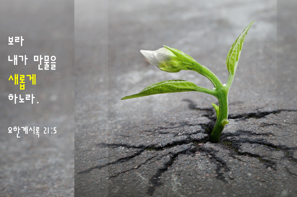 사진, 스키즈(Skeeze), 출처, 픽사베이; 그래픽, 로렌스 글래스 & 김응선 목사, 연합감리교뉴스. 