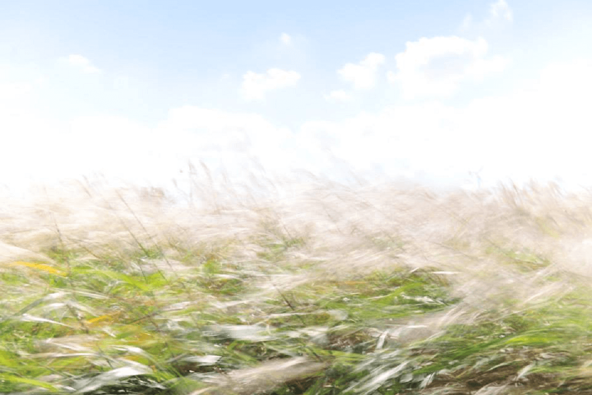 김영일 교수는 한국 사회에서 좀처럼 논의되지 않는 존엄사 문제와 늙음을 어떻게 대할 것인지를 말한다. 사진, 김영일 교수.