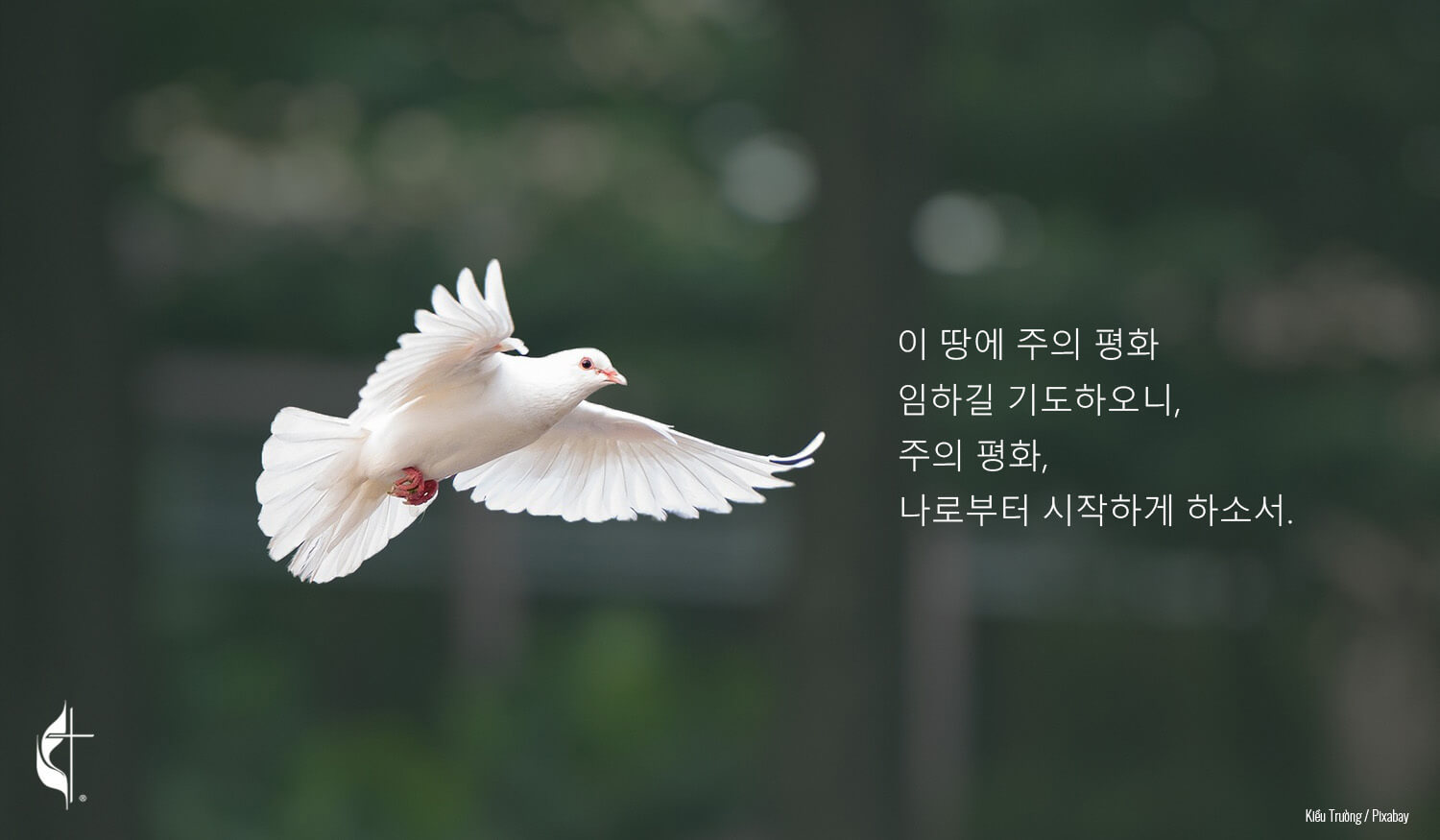 연합감리교회 지도자들이 공화당 대통령 후보이자 전 미국 대통령인 도널드 트럼프에 대한 암살 시도에 우려를 표명하고, 평화를 호소하고 있다. 사진, 기우 쯔엉, 픽사베이; 그래픽, 로렌스 글래스, 연합감리교뉴스.