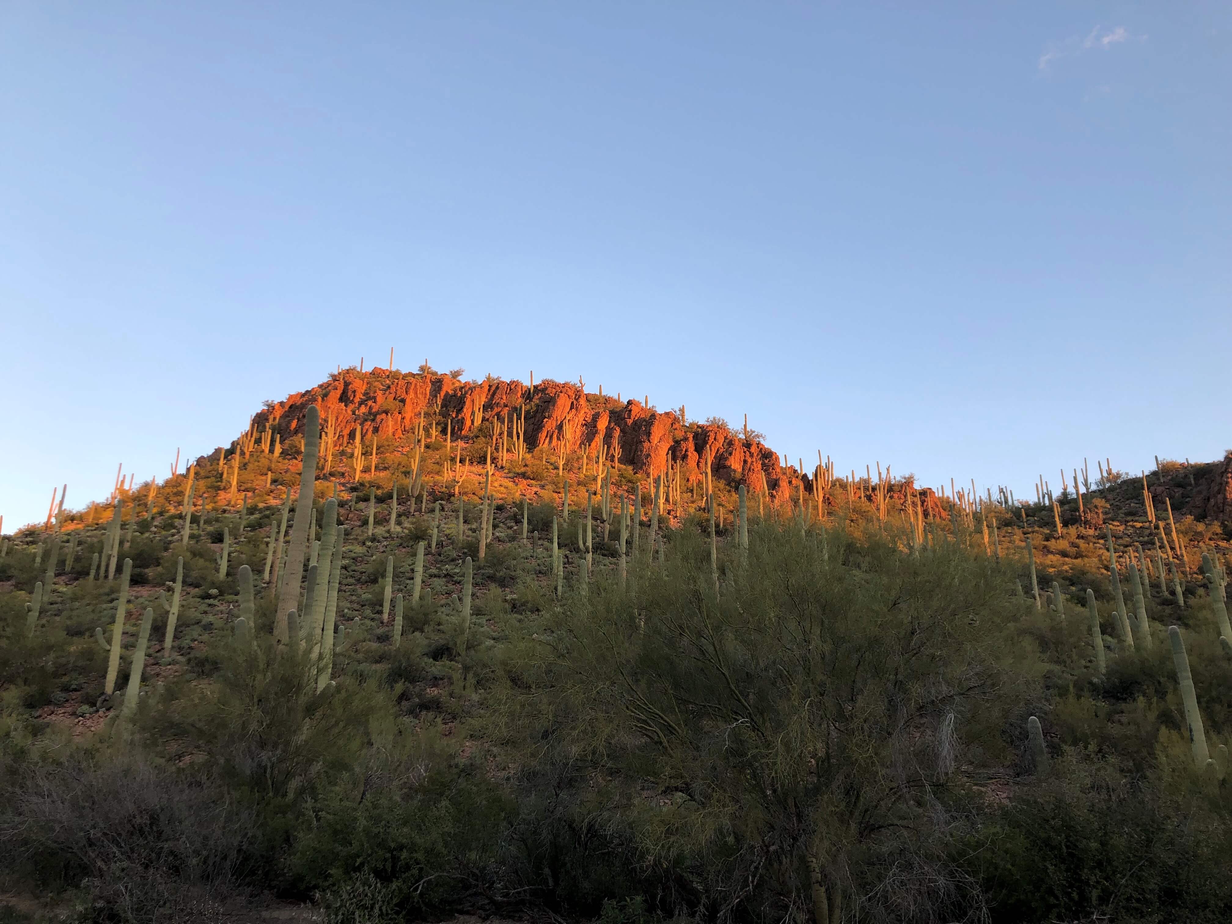 다락방 영성형성 아카데미는 시편을 사랑하는 목회자와 평신도를 대상으로, 오는 9월 22일부터 26일까지 애리조나주 투산에 소재한 리뎀토리스트 수양관에서 “영혼의 노래, 시편과 함께하는 여정”이라는 주제로 <영성형성 아카데미>를 개최한다. 사진은 <영성형성 아카데미>가 열리는 리뎀토리스 수양관에서 바라본 애리조나 사막의 풍경을 담고 있다. 사진, 김응선 목사, 연합감리교뉴스
