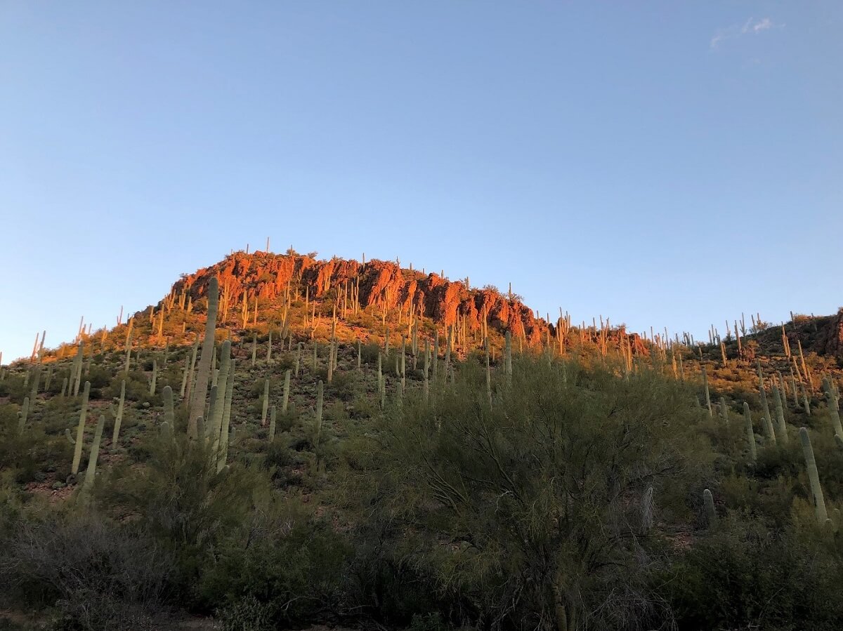 다락방 영성형성 아카데미가 주최하는 시편을 사랑하는 목회자와 평신도를 대상으로 한 “영혼의 노래, 시편과 함께하는 여정”이라는 주제의 <영성형성 아카데미>가 2025년 9월 22일부터 26일까지 애리조나주 투산에 소재한 리뎀토리스트 수양관에서 열린다. 사진은 <영성형성 아카데미>가 열리는 리뎀토리스 수양관에서 바라본 애리조나 사막의 풍경을 담고 있다. 사진, 김응선 목사, 연합감리교뉴스.
