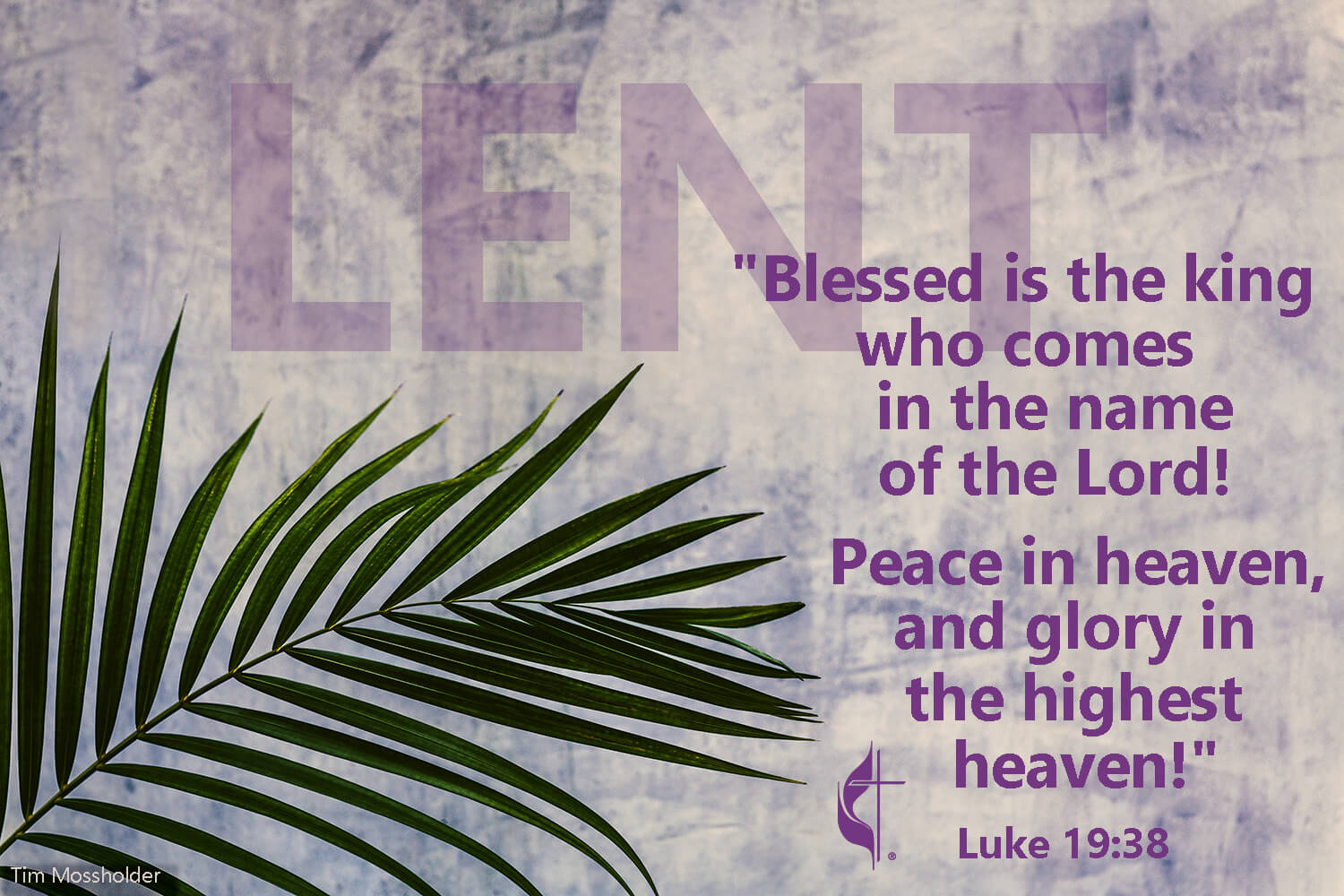 Image by Tim Mossholder, courtesy of Unsplash; graphic by Laurens Glass, UM News