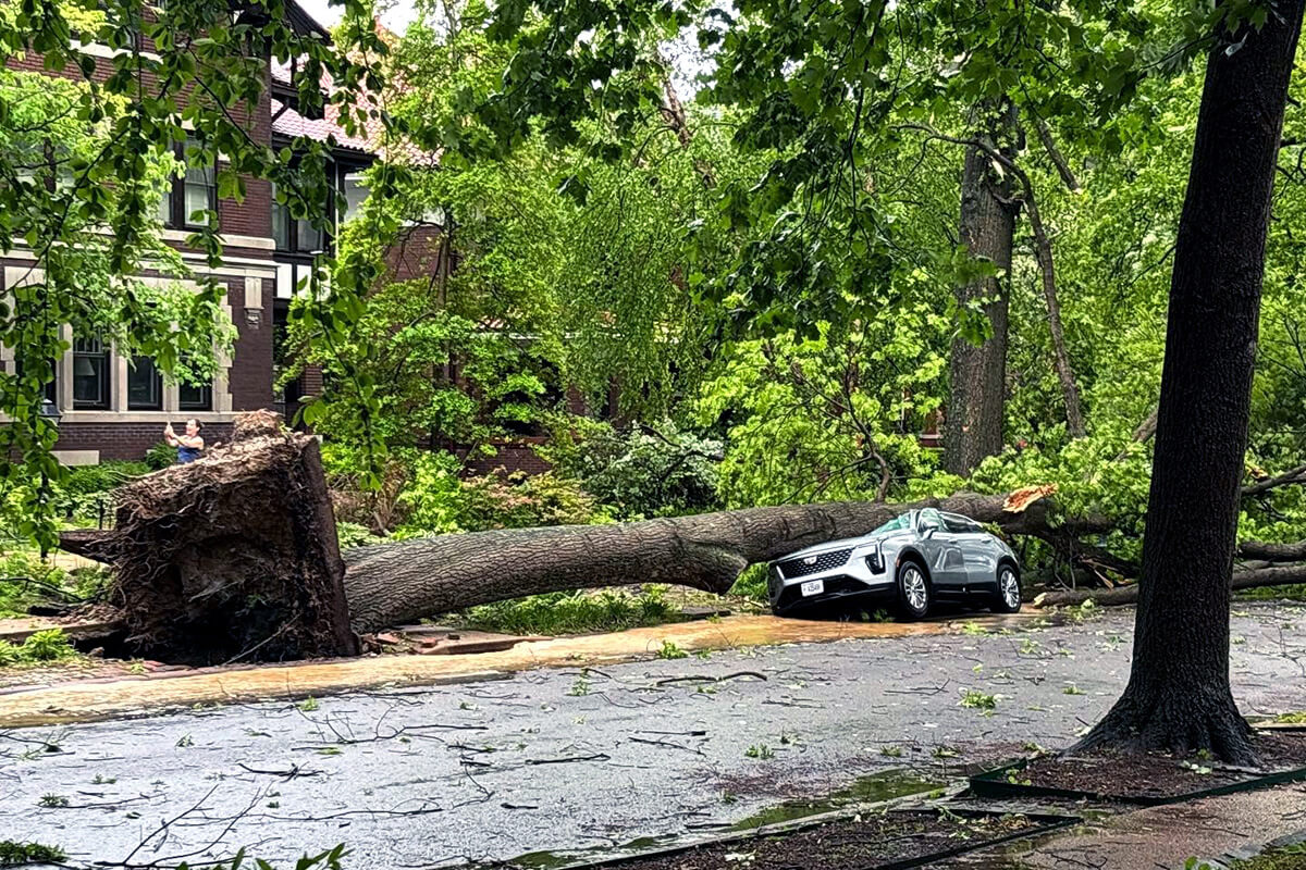 Un árbol arrancado de raíz yace sobre un coche destrozado cerca de la casa parroquial de la Iglesia Metodista Unida Grace en San Luis. Los/as metodistas unidos/as están respondiendo en Misuri, Kentucky y otros estados tras las violentas tormentas que azotaron el centro de Estados Unidos, dejando al menos 28 muertos. Foto de la Revda. Katie Nix, Iglesia Metodista Unida Grace, cortesía de la Conferencia Anual de Misuri. 